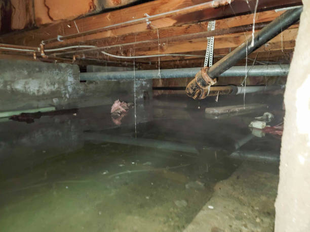 Best Fire Damage Restoration  in Piru, CA