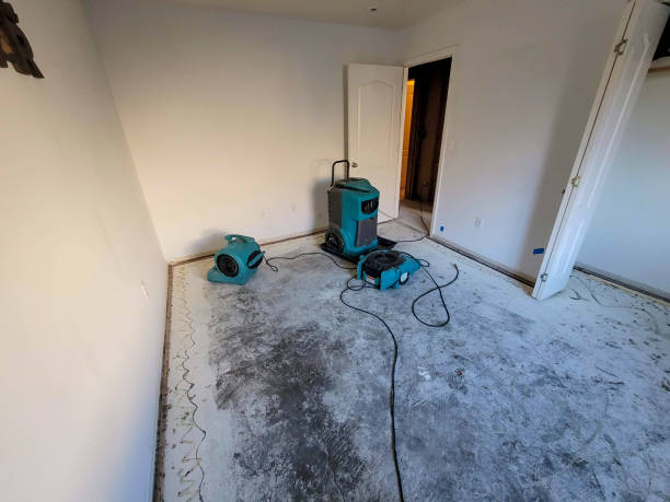 Best Ceiling water damage repair  in Piru, CA