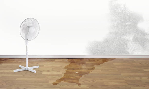 Best Sewage cleanup and water damage restoration  in Piru, CA