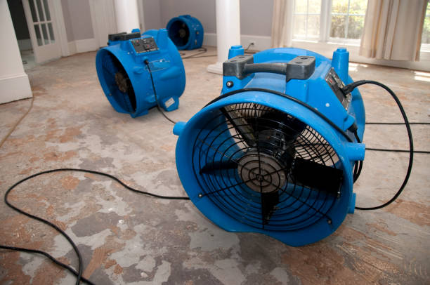 Best Basement water damage restoration  in Piru, CA