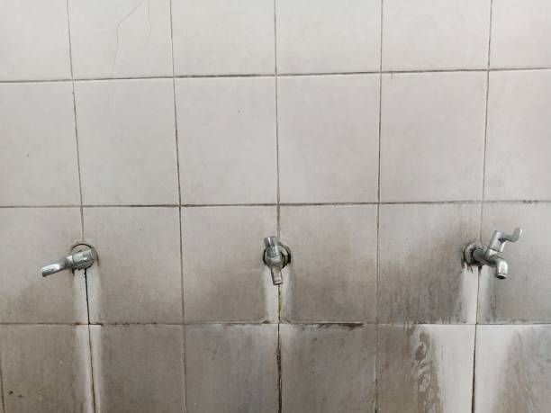 Best Water damage restoration near me  in Piru, CA