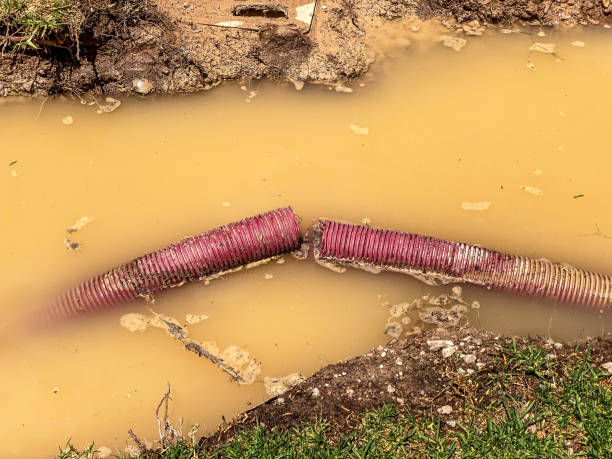 Best Flood restoration services  in Piru, CA