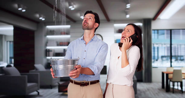 Best Carpet water damage restoration  in Piru, CA